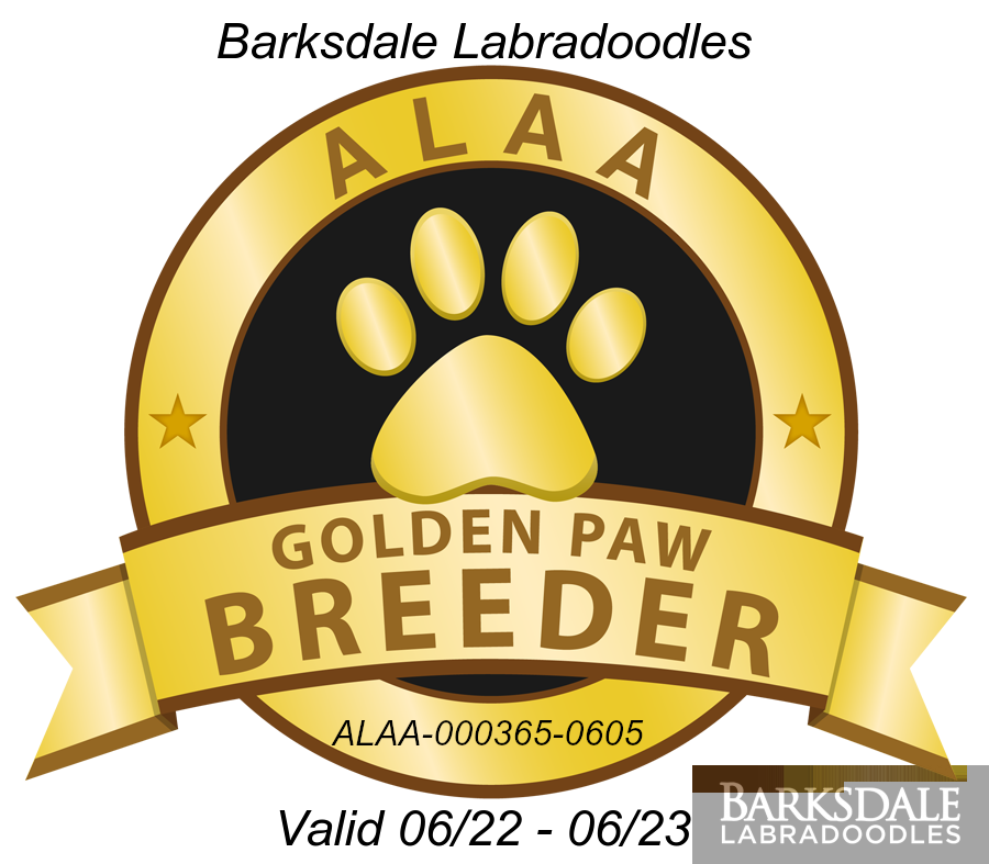 Barksdale Labradoodles ALAA Golden Paw Breeder 2022