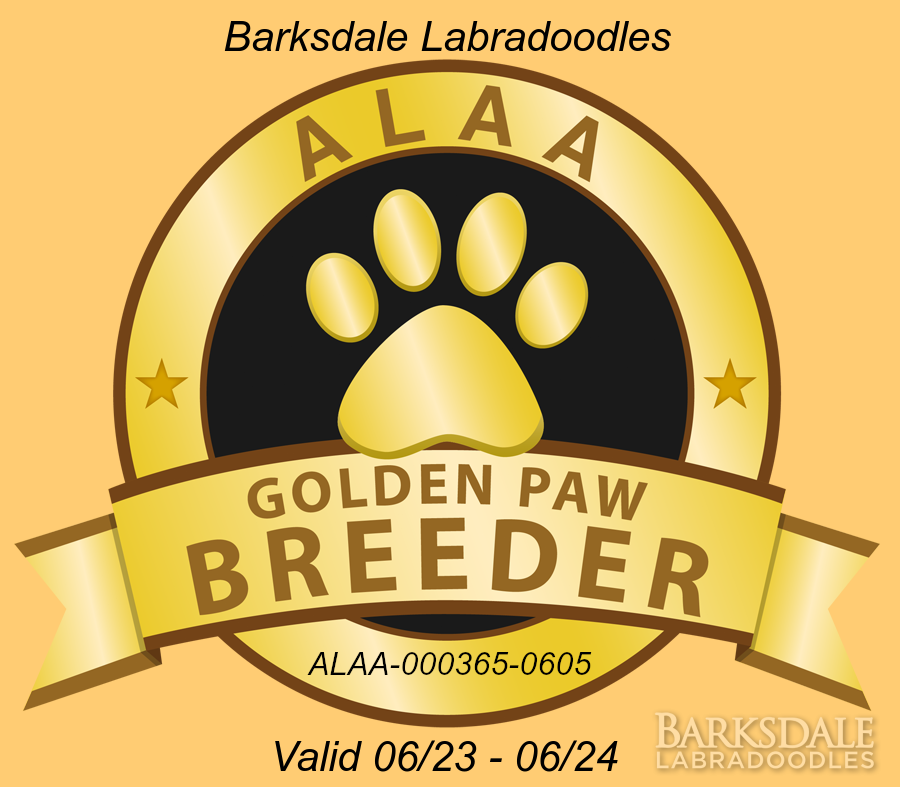 Barksdale Labradoodles ALAA Golden Paw Breeder 2023