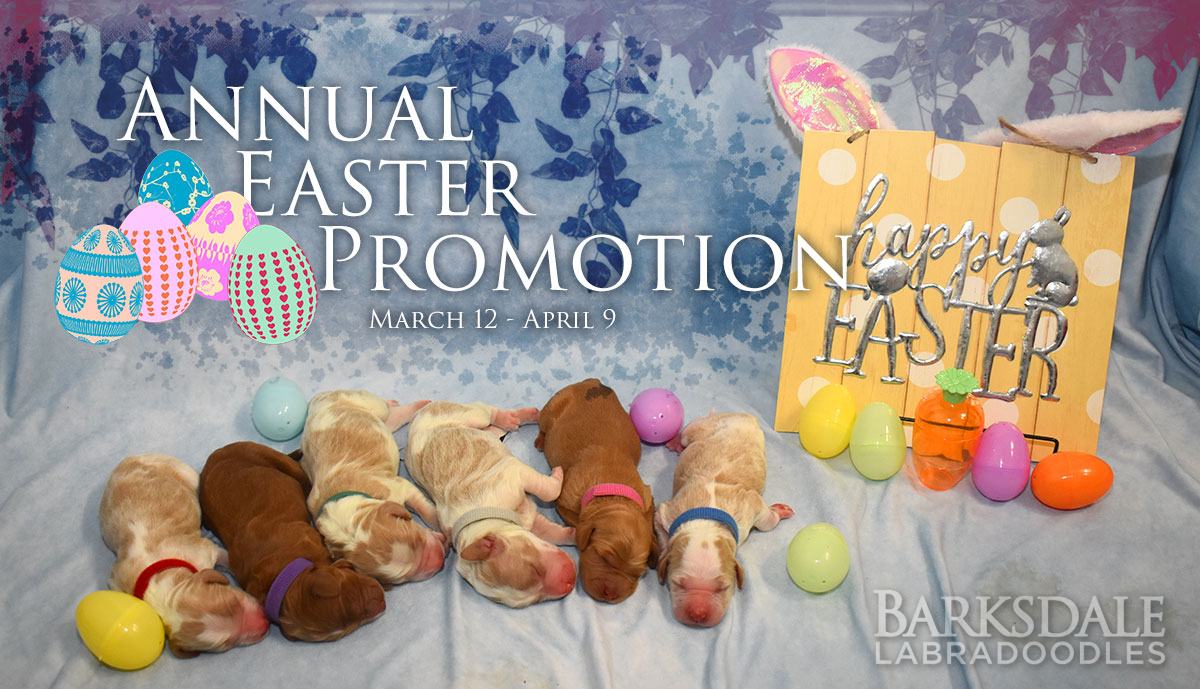 Annual Easter Promotion