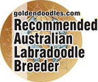 Goldendoodles.com Recommended Australian Labradoodle Breeder