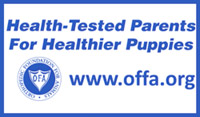 Health Tested Parents for Healthier Puppies - www.offa.org